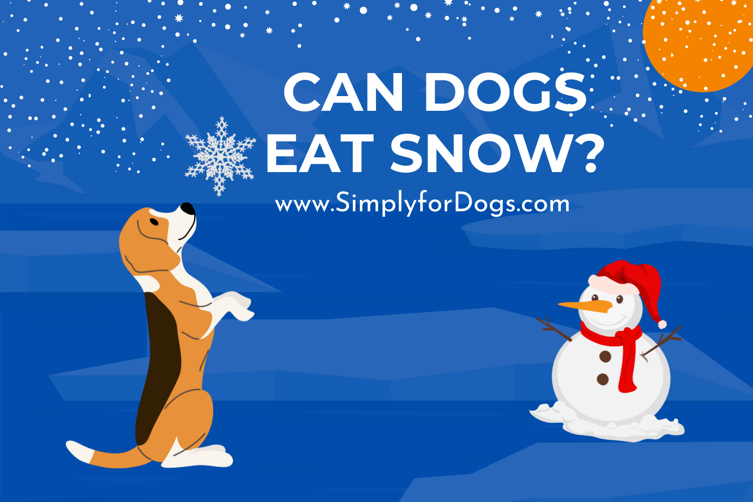 can dogs eat snow