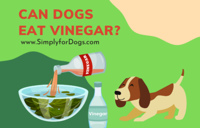can dogs eat vinegar