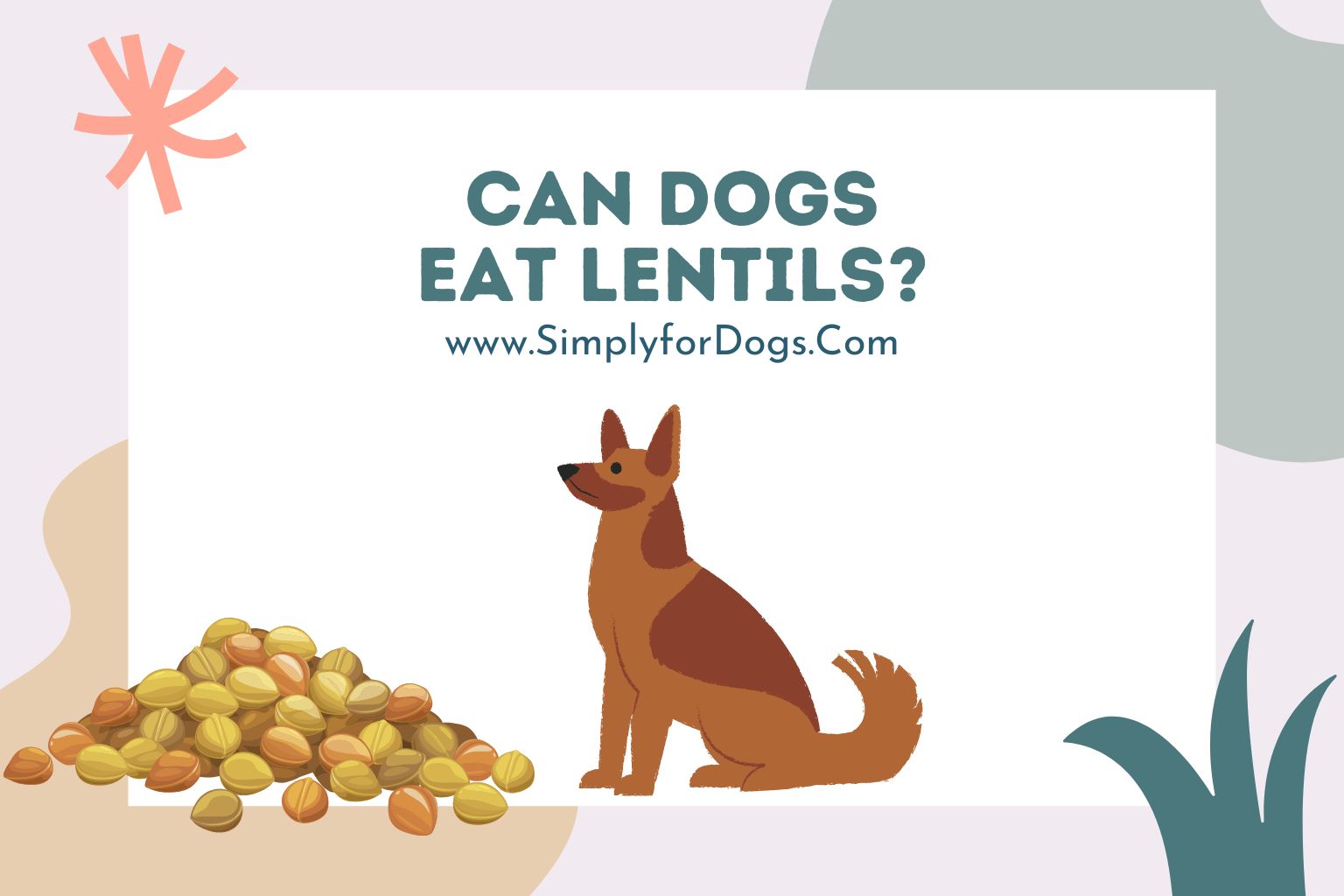 Can Dogs Eat Lentil