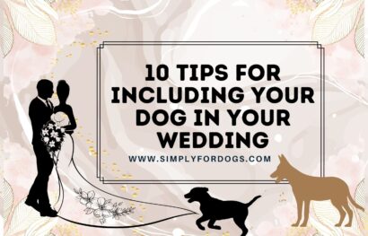 10-Tips-for-Including-Your-Dog-in-Your-Wedding