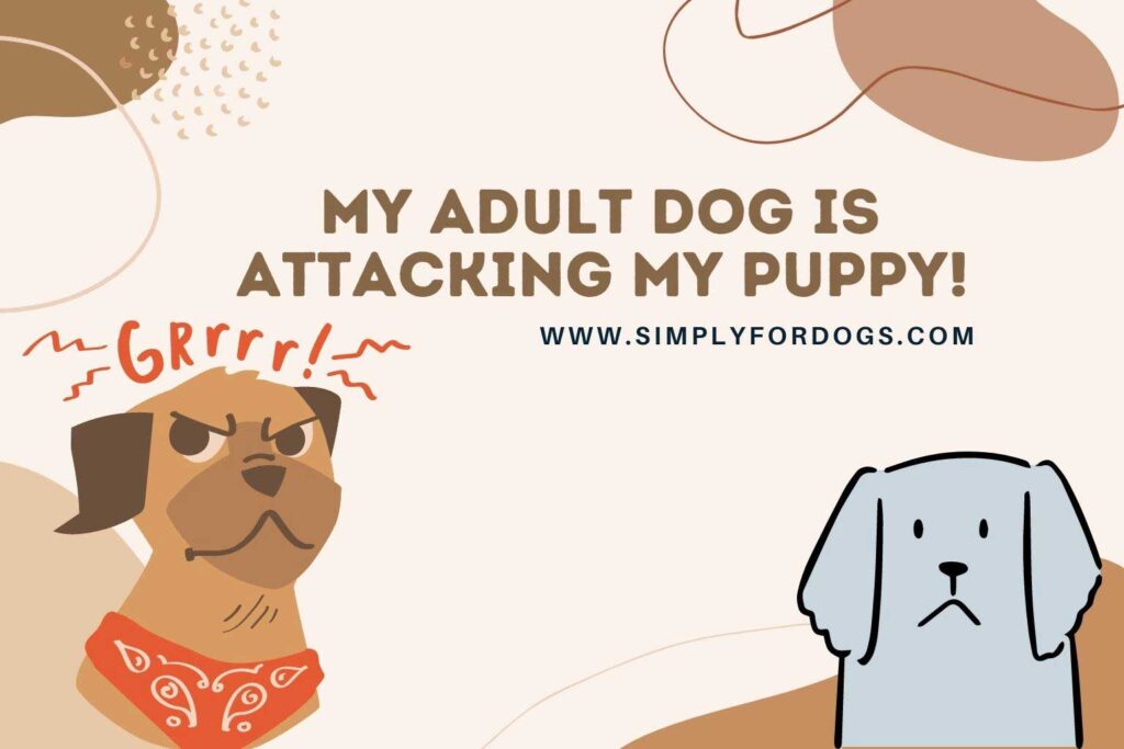 Adult Dog Is Attacking My Puppy! (Causes+How To Stop Them)