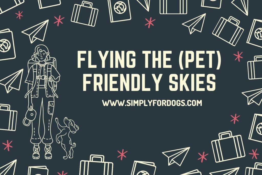 Travelling With Your Dog (Tips for Flying) Simply For Dogs