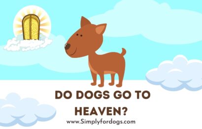 Dogs-Go-To-Heaven