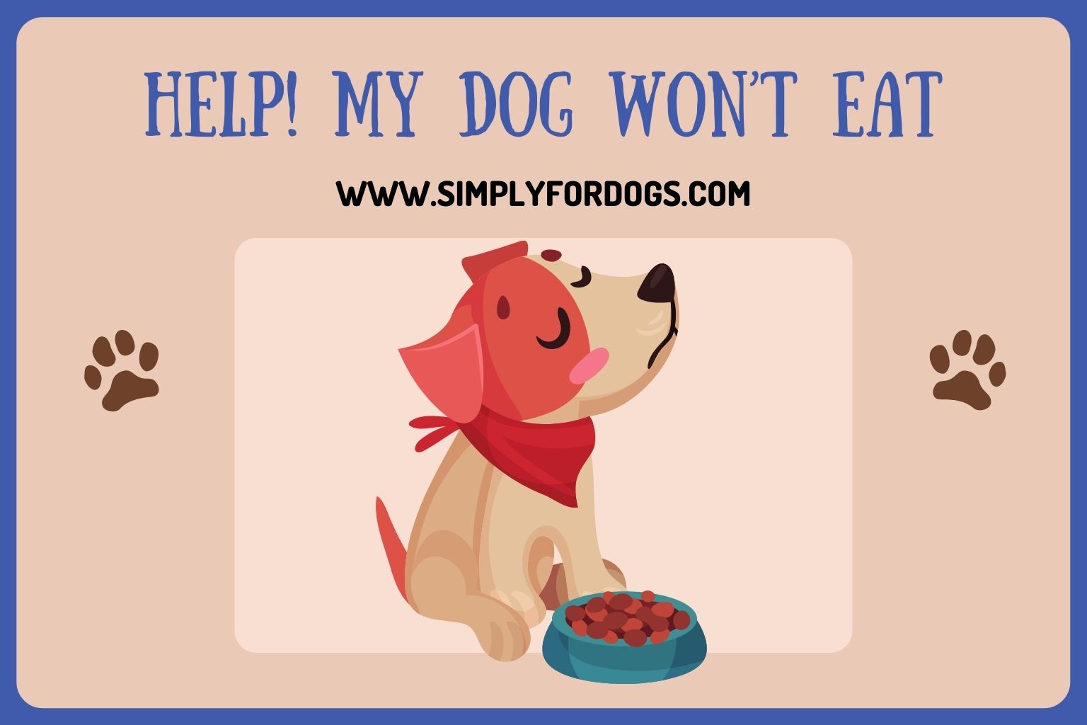 Help My Dog Won t Eat The Ultimate Solution Simply For Dogs