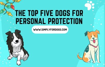 The Top Five Dogs for Personal Protection