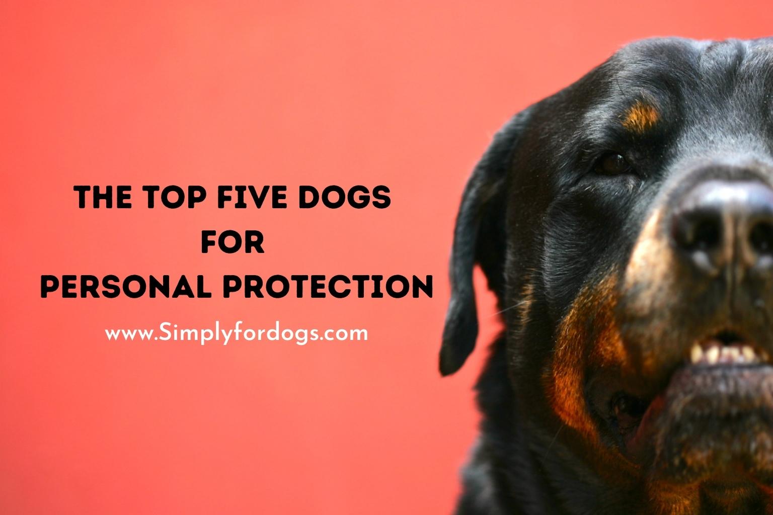 TopFiveDogsForPersonalProtection Simply For Dogs