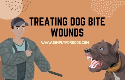 Treating Dog Bite Wounds