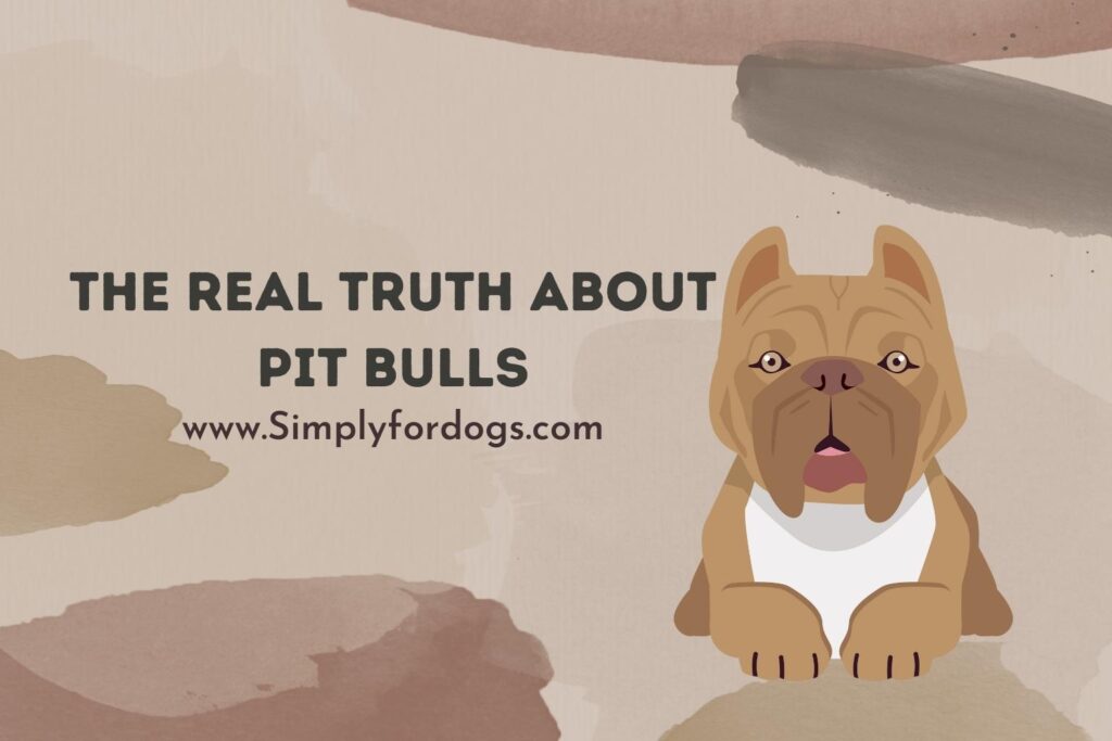 The Real Truth About Pit Bulls - (You Didn't Know This Before)