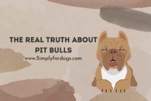 The Real Truth About Pit Bulls - (You Didn't Know This Before)