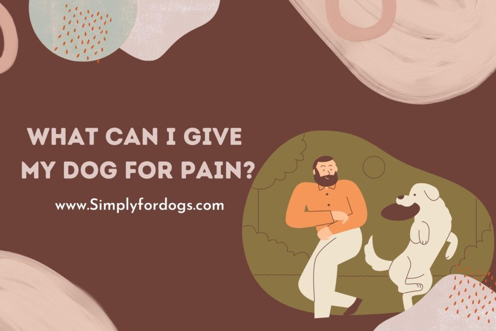  what can i give my dog for pain instant solution simply for dogs