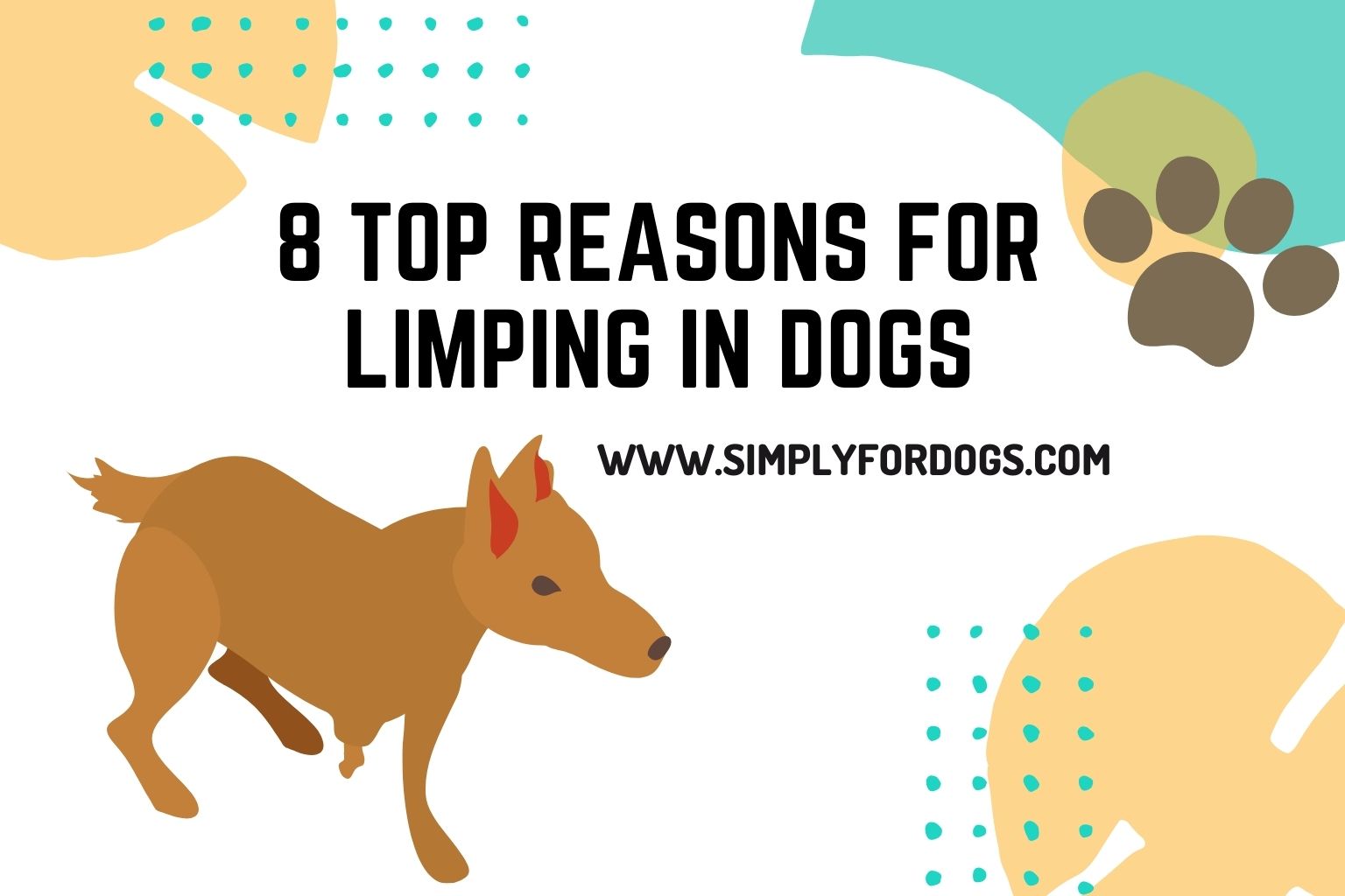 8 Top Reasons for Limping in Dogs