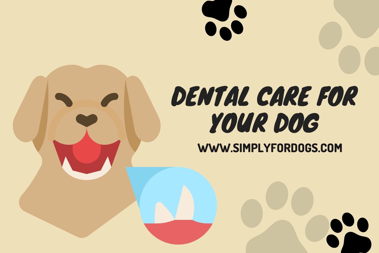 Dental Care for Your Dog