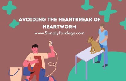 Dog-Heartworm