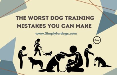 Dog-Training