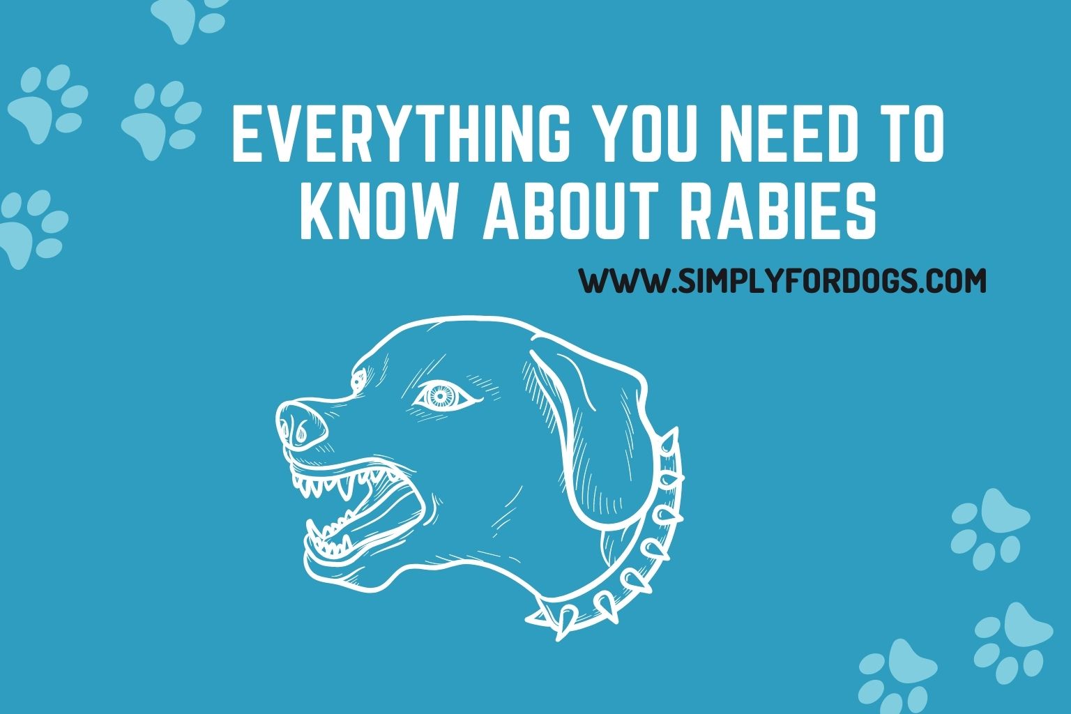 Everything You Need to Know About Rabies