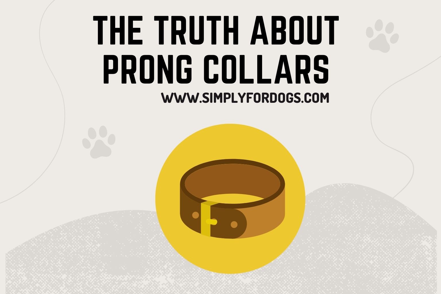 The Truth About Prong Collars