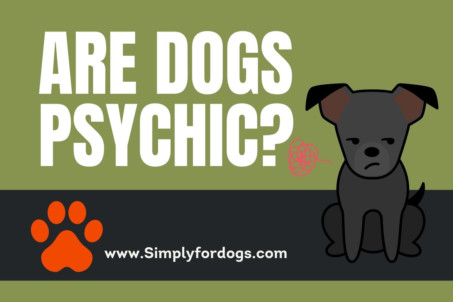 are-dogs-psychic-evidence-discussion-simply-for-dogs