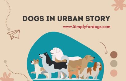 Dogs in Urban Legends