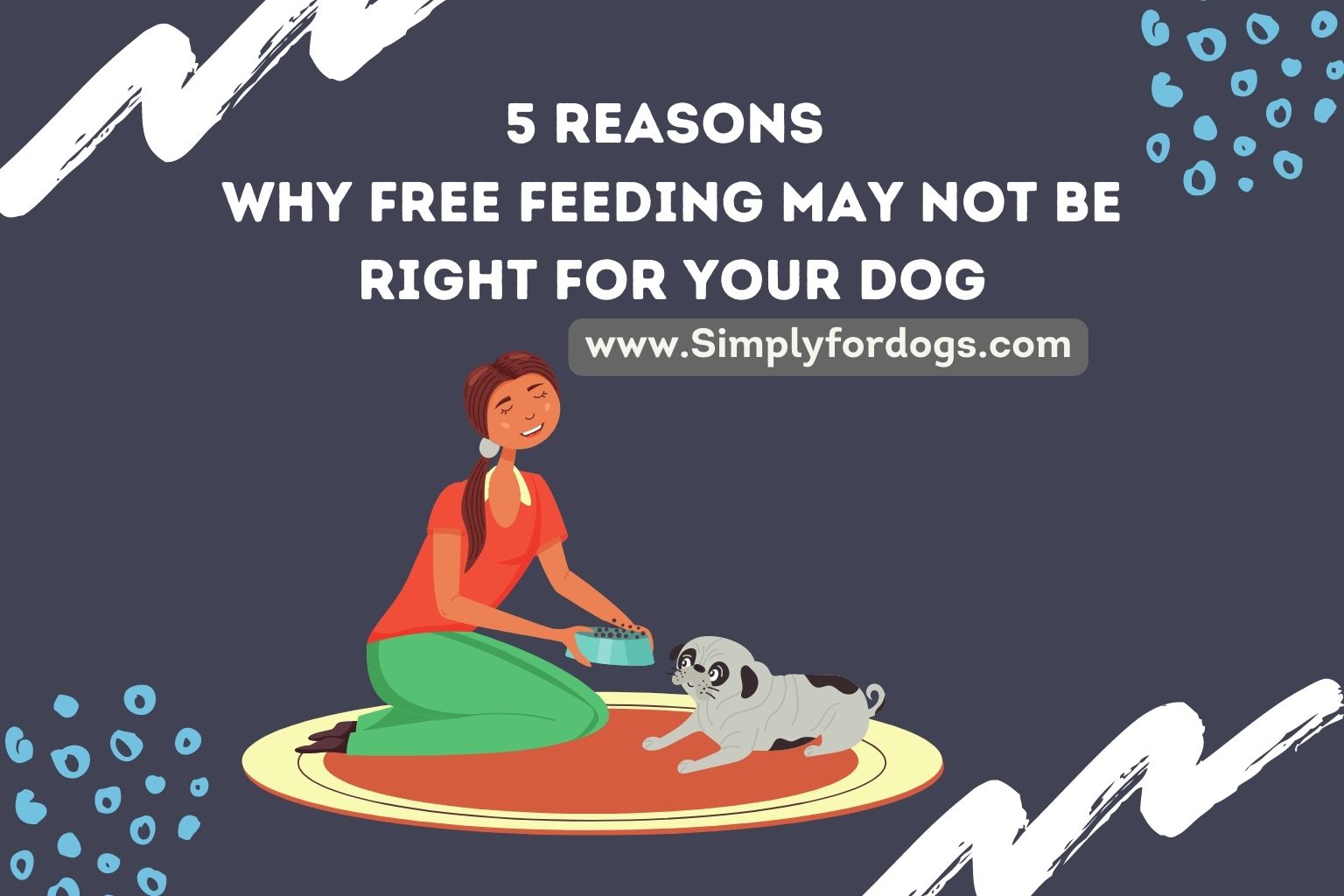 How to free feed your dog best sale