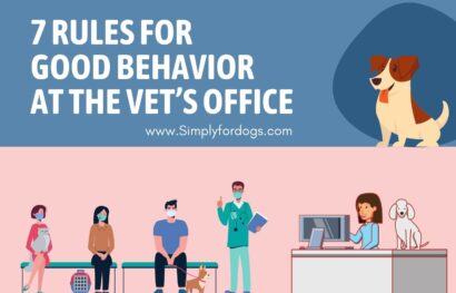 Vet’s-Office