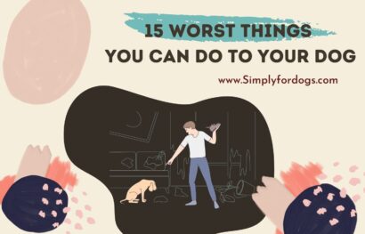 Worst-Things-You-Can-Do-to-Your-Dog