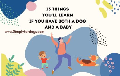 You'll-Learn-if-You-Have-Both-a-Dog-and-a-Baby