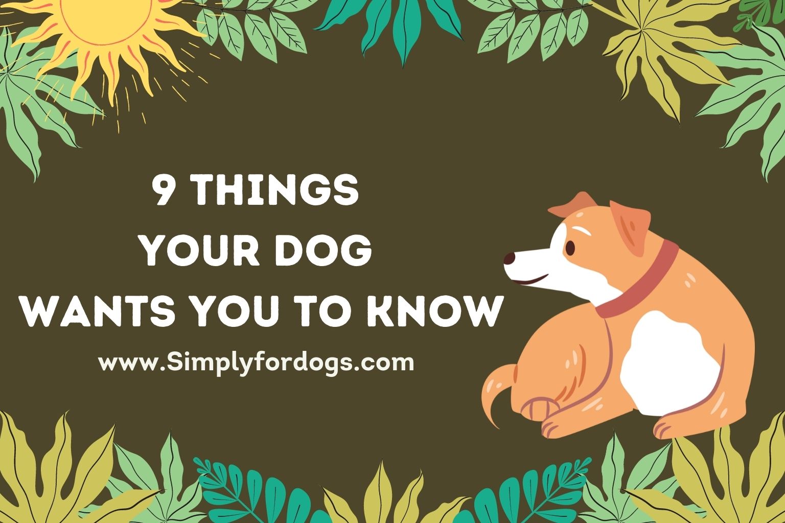 Things Your Dog Wants You to Know - (Detailed Information)