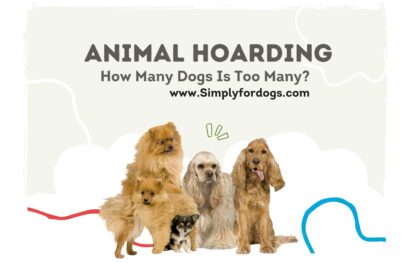 Animal-Hoarding