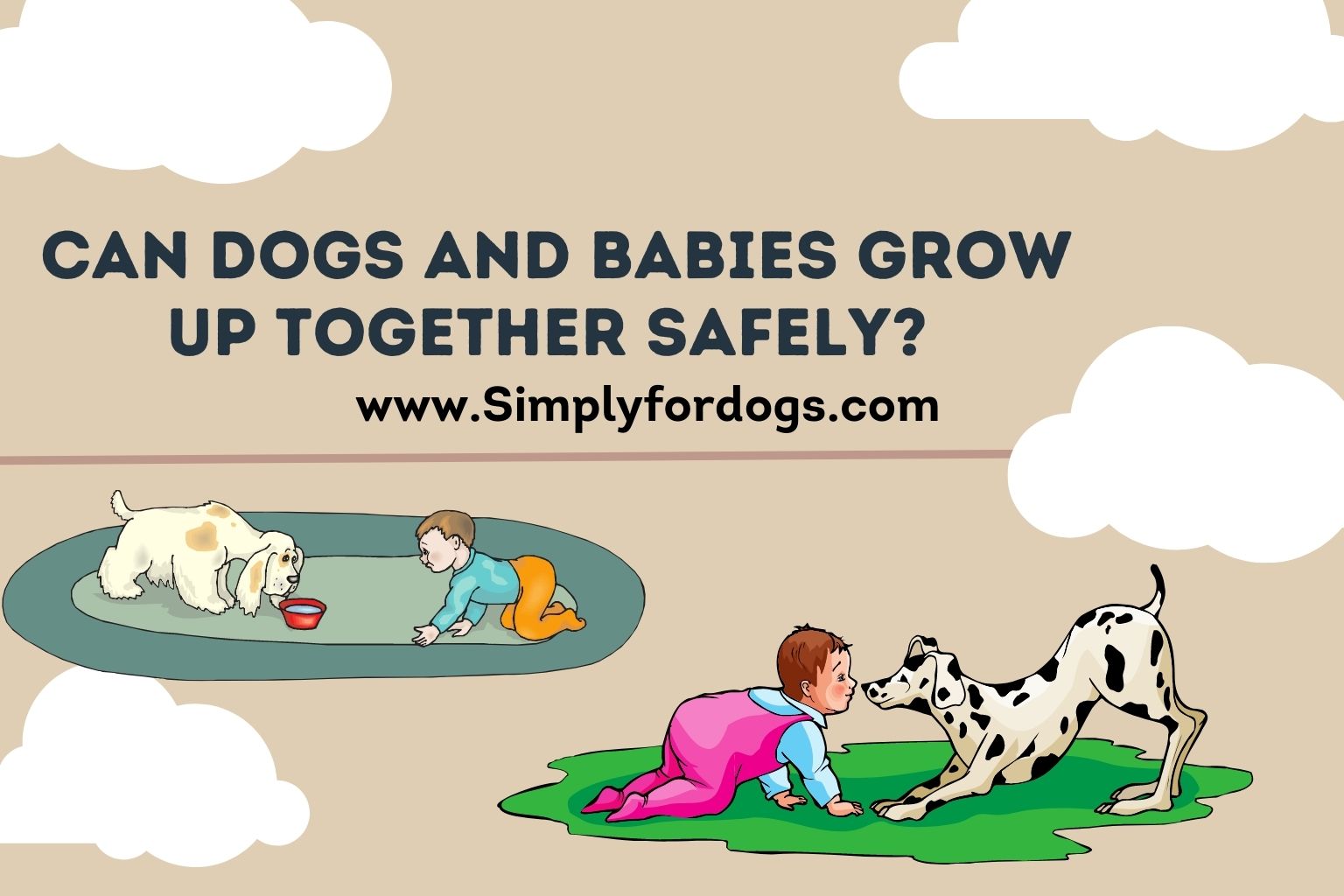 Can Dogs and Babies Grow Up Together Safely