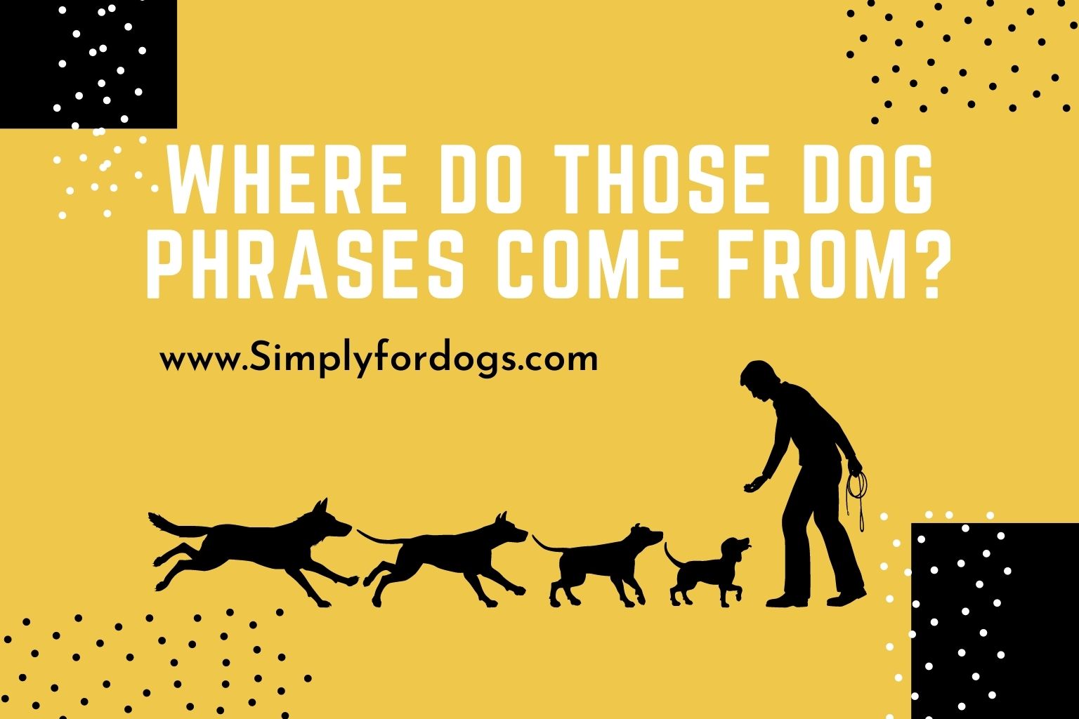 Similar Phrases To Top Dog