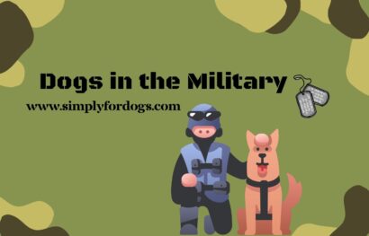 Dogs-in-the-Military