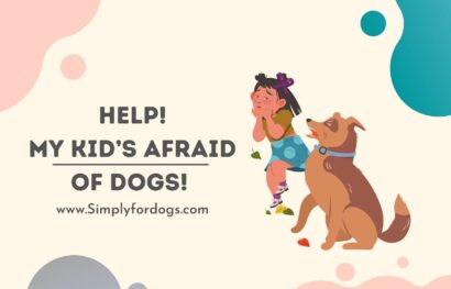 Kid's-Afraid-of-Dogs