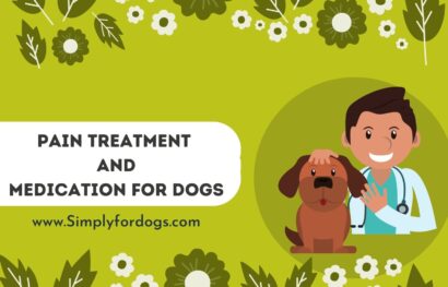 Pain Treatment and Medication for Dogs