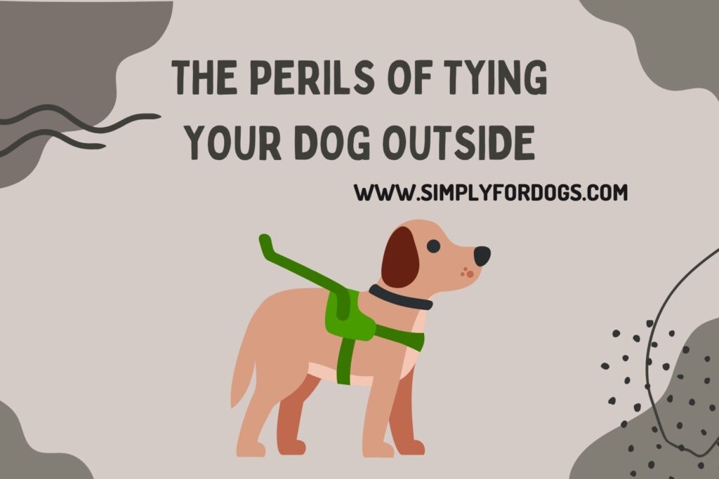 The Dangers Of Tying Your Dog Outside (Pros & Cons) Simply For Dogs