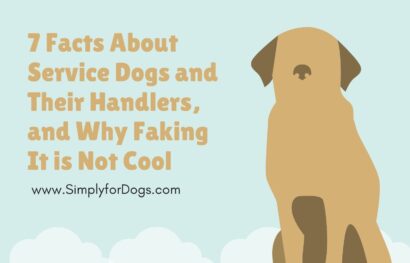 7 Facts About Service Dogs and Their Handlers, and Why Faking It is Not Cool