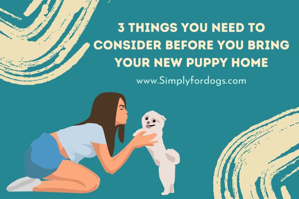 Bring Your New Puppy Home (Bonding Tips) Simply For Dogs
