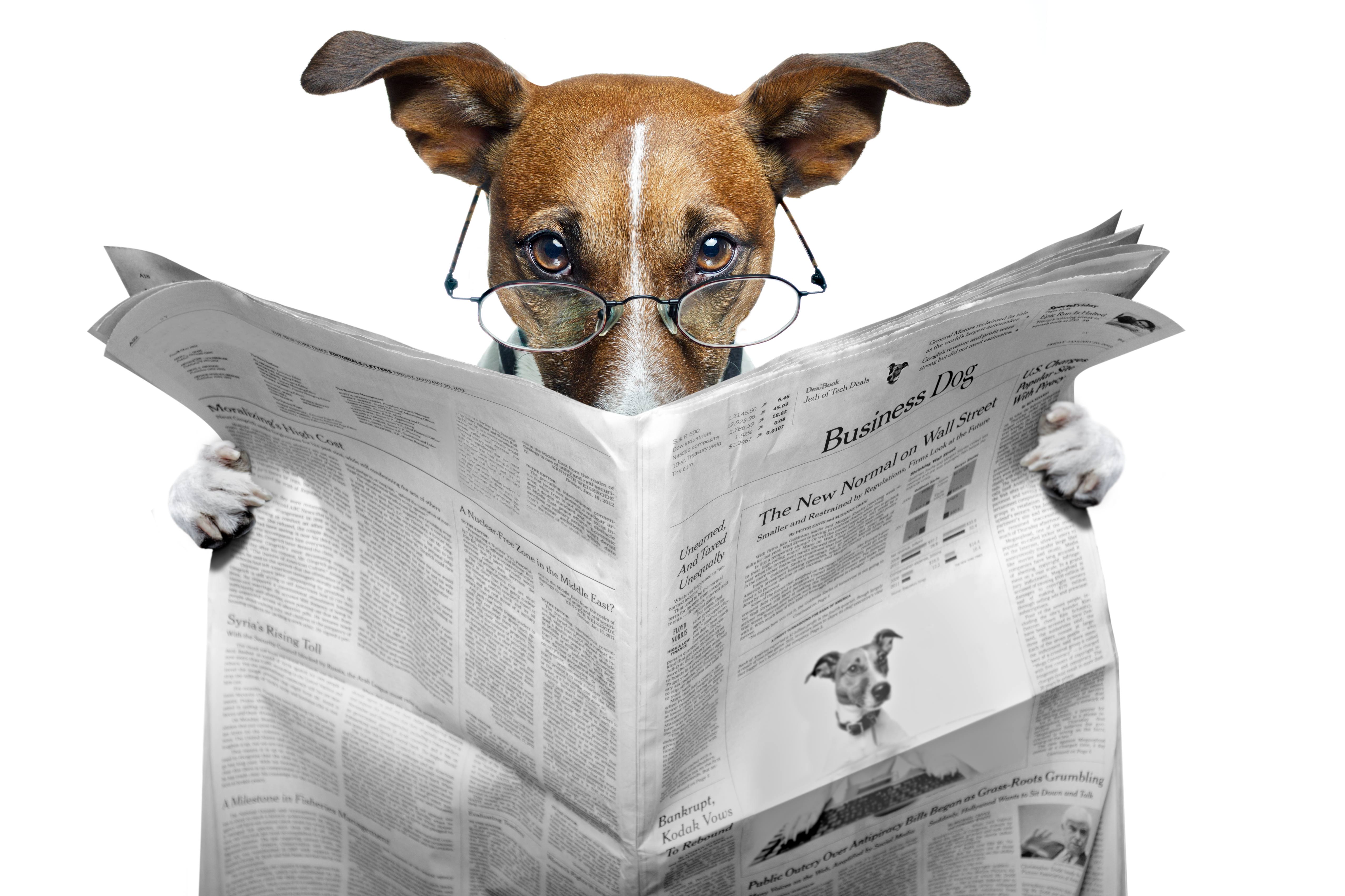 9 Commandments For Dogs And Funny Dog Stuff Simply 9 Commandments For Dogs And Funny Dog