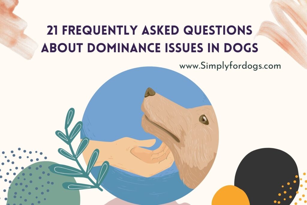 Dominance Issues In Dogs Can Affect Anyone Simply For Dogs