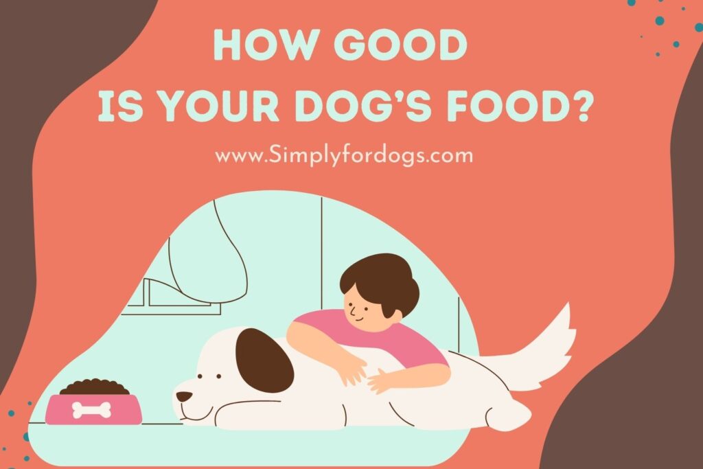 How Good Is Your Dog s Food Tips To Detect Simply For Dogs how-good-is-your-dog-s-food-tips-to-detect-simply-for-dogs