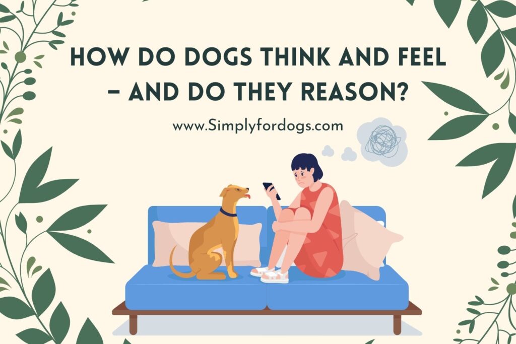 How Do Dogs Think And Feel? (Dog's Emotion)