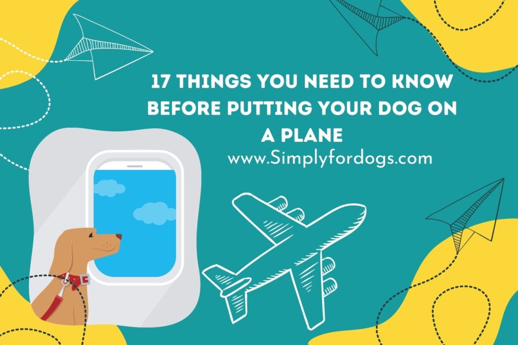 Traveling with Dogs (Fun Facts) Simply For Dogs