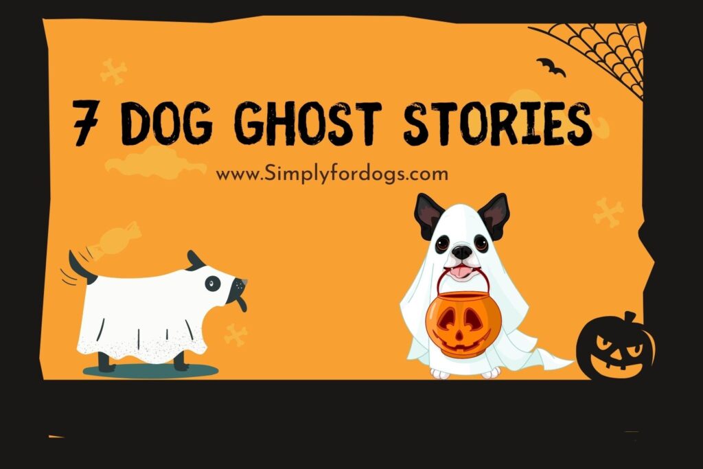 Creepy Dog Ghost Stories (Find Your Favorite One) Simply For Dogs