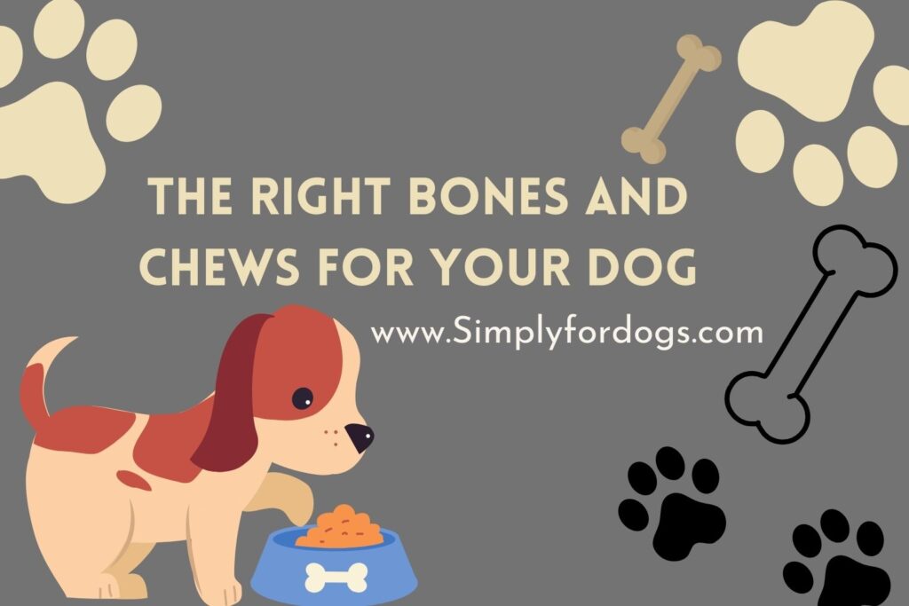 Choosing The Right Bones and Chews For Your Dog (Best Diet Ever)
