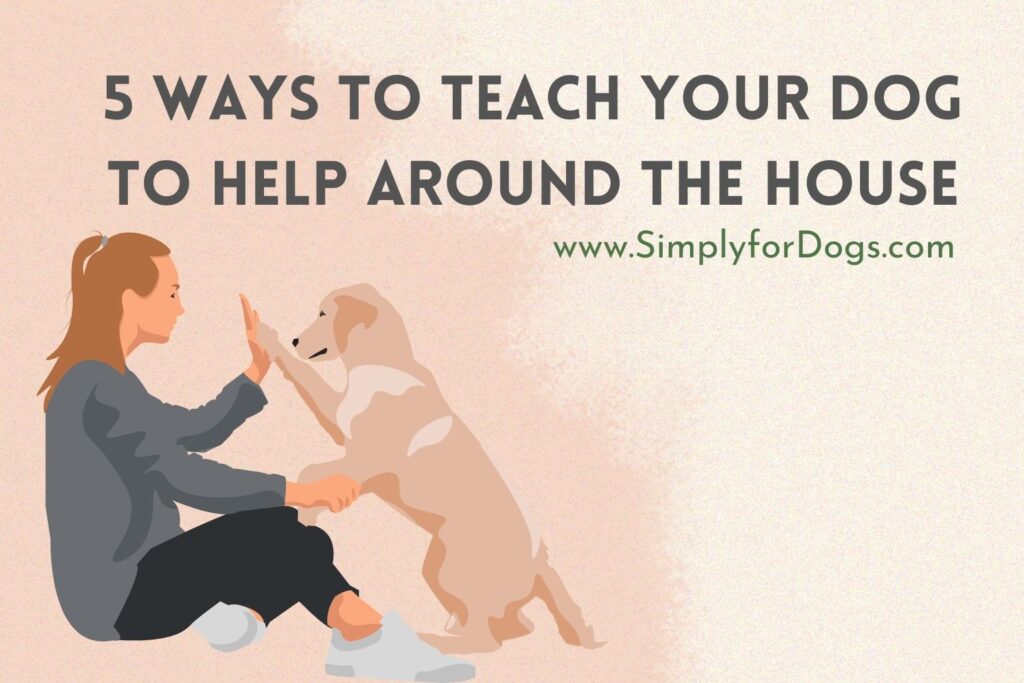 ways-to-teach-your-dog-to-help-around-the-house-why-how