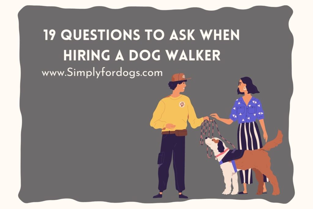 19 Questions to Ask When Hiring a Dog Walker (Clear Your Confusion)