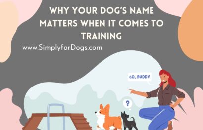 Dog’s-Name