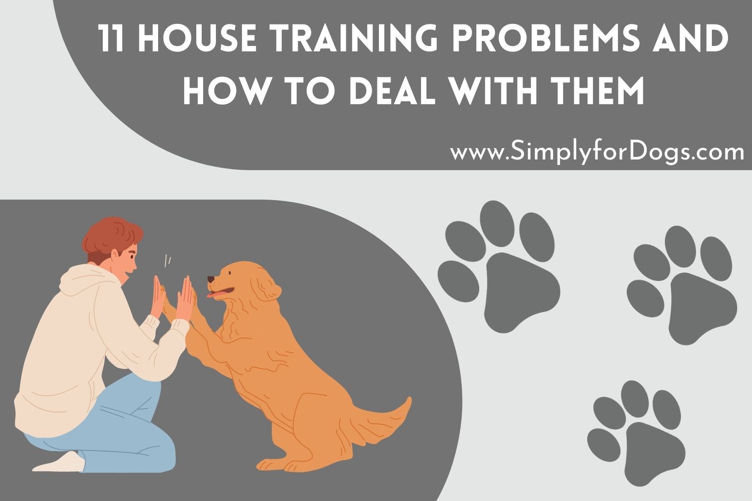 House Training Dog