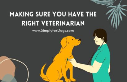 Veterinarian