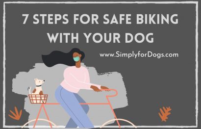 Biking With Dog