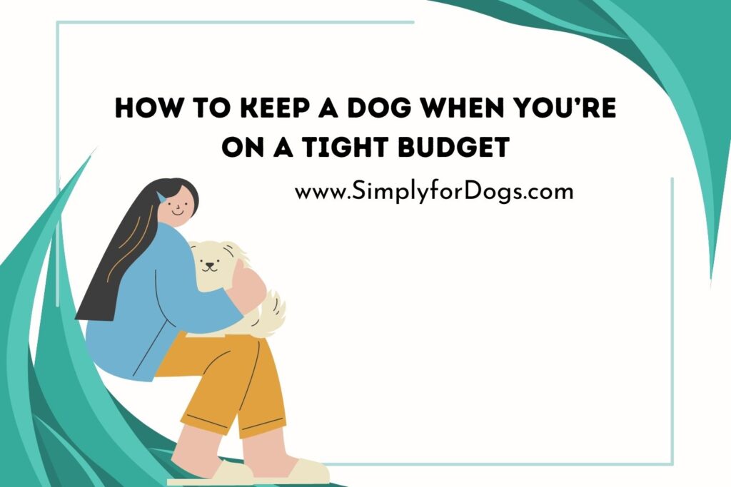 How to Keep a Dog When You're on a Tight Budget (For Real Dog Lovers